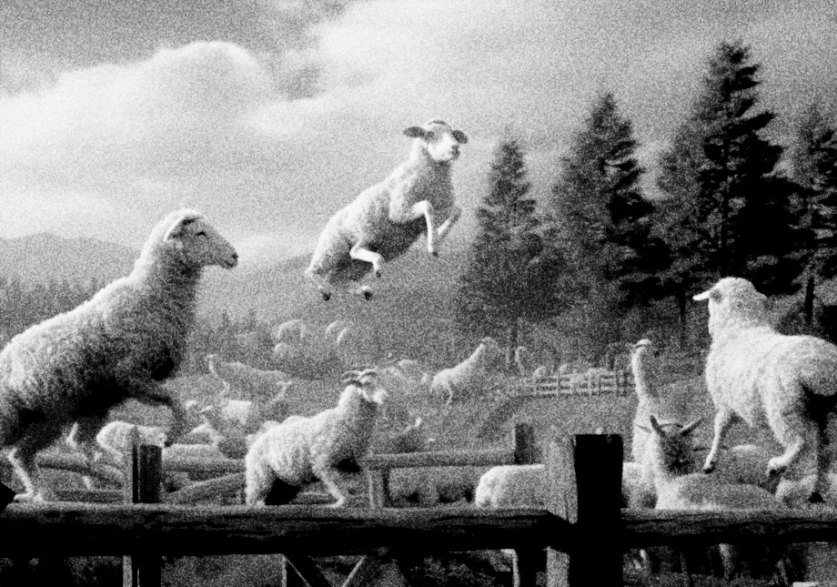 The enigma of sheep dreams
